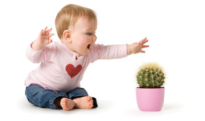 What Do YOU Do When Your Child Comes Face to Face With a Gorilla?!