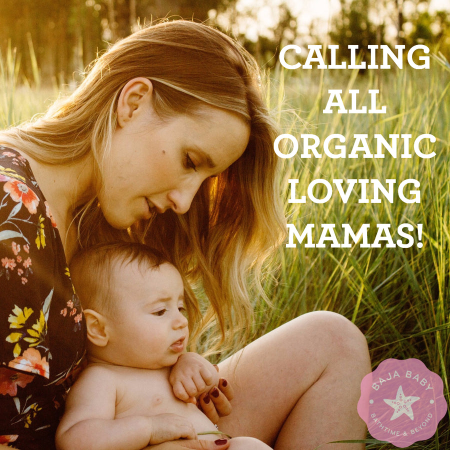 Announcing our Baja Baby Brand Ambassador Program!