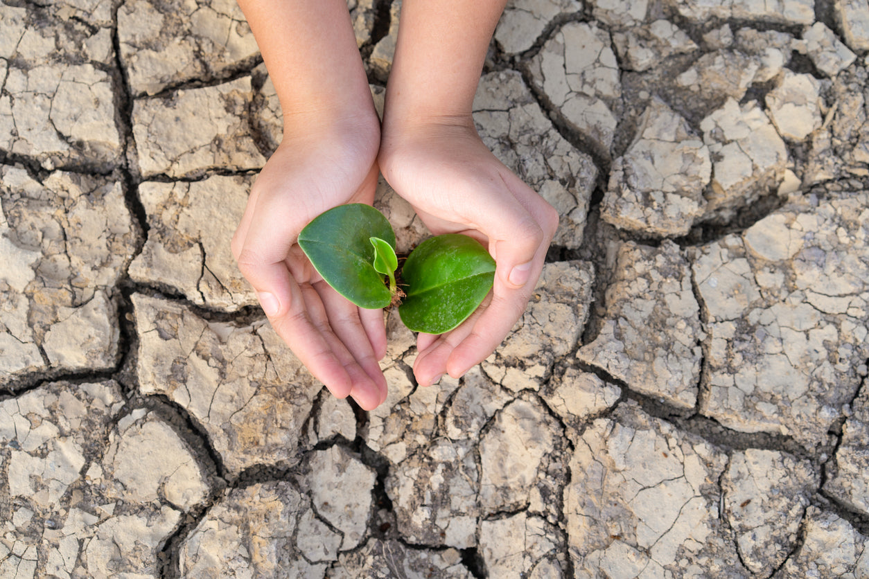 Earth Day 2020