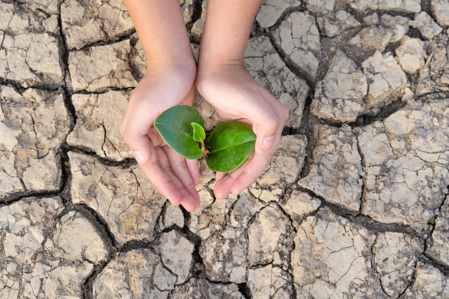 Earth Day 2020