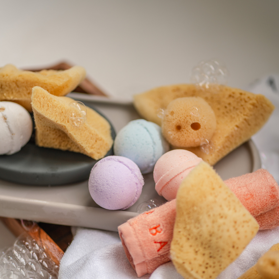 Silk Sea Sponge